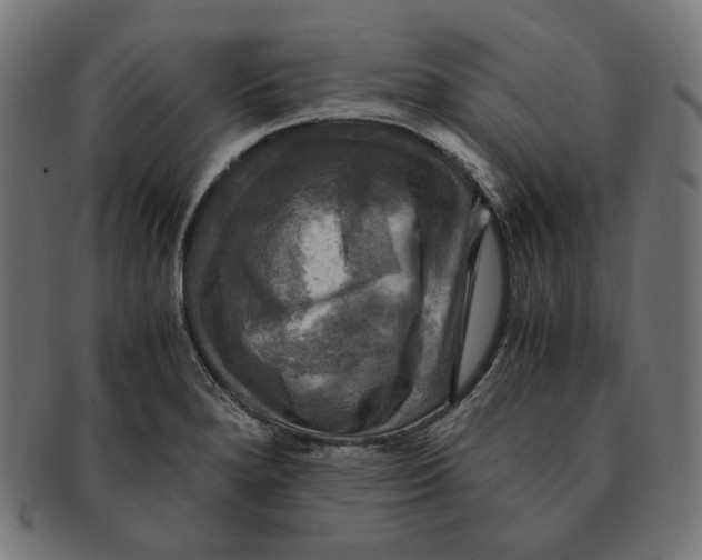 X0000091711280200709210935