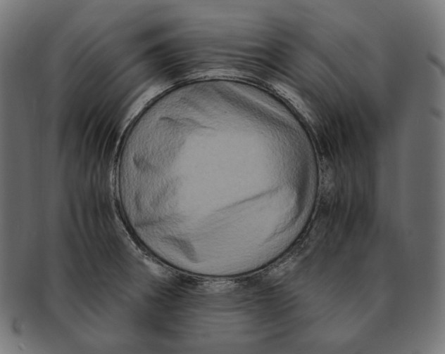 X0000091711282200709210935