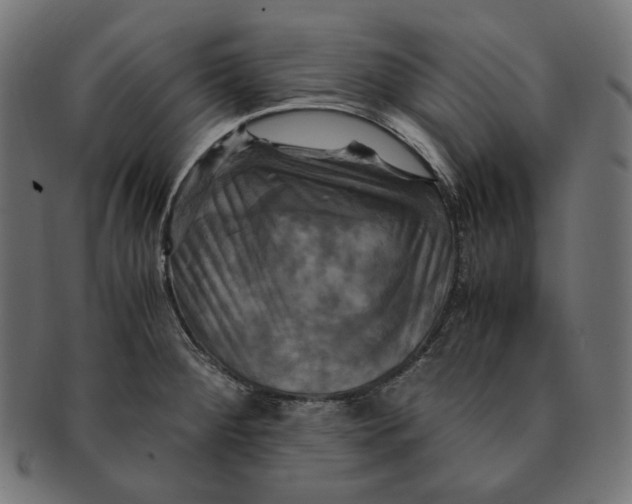 X0000091711284200709210934