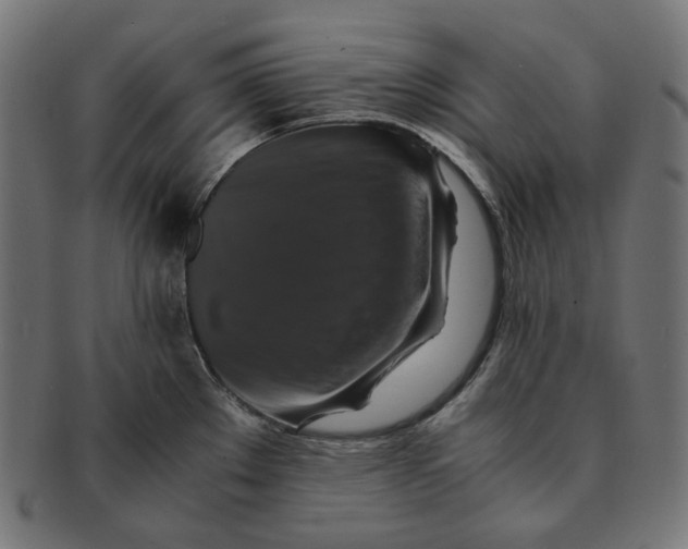 X0000091711289200709210934