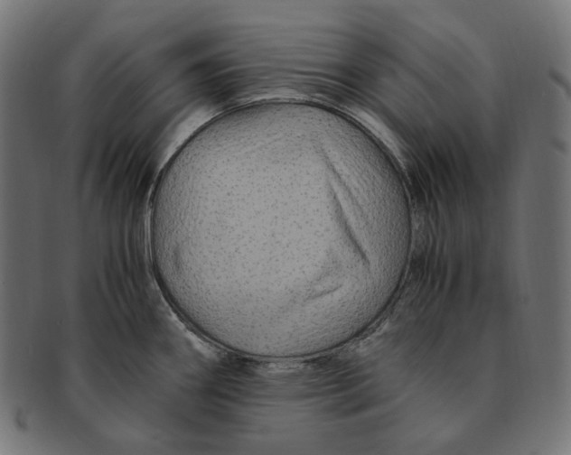 X0000091711290200709210934