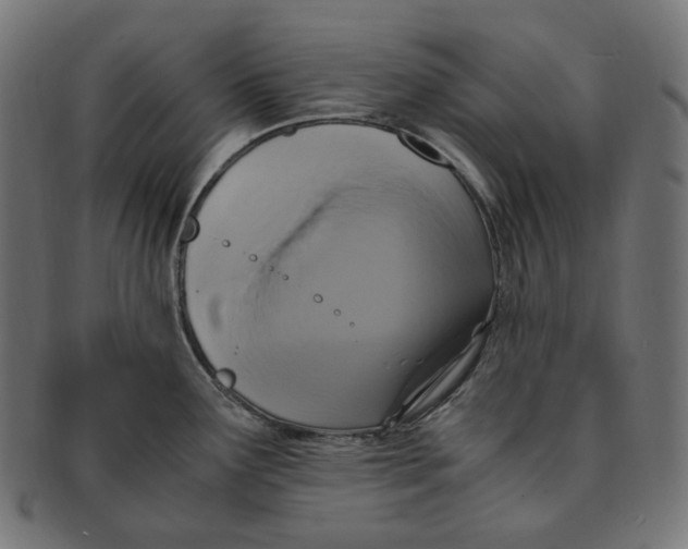 X0000091711291200709210934