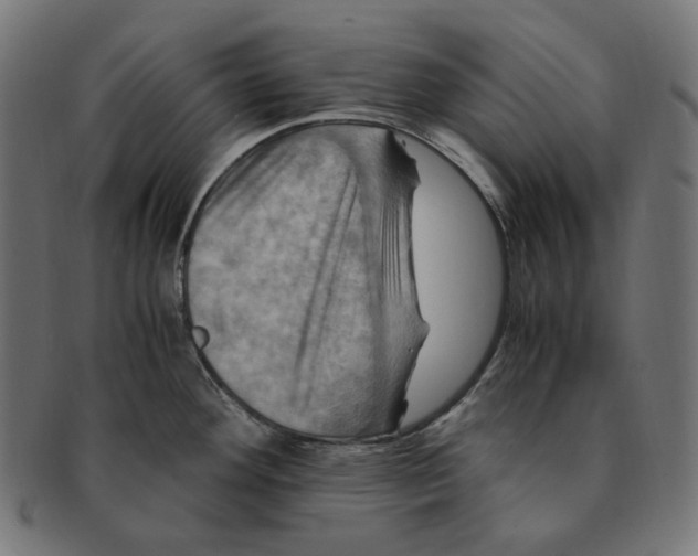 X0000091711292200709210934