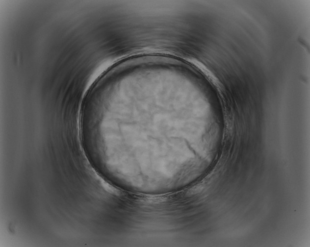 X0000091711294200709210934