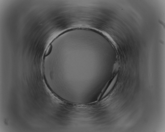 X0000091711295200709210934