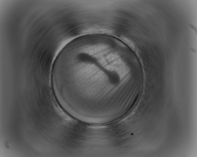 X0000091711296200709210934