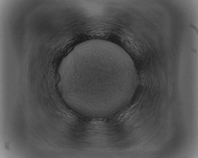 X0000091711297200709210934