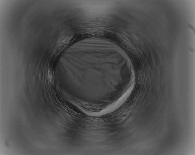 X0000091711298200709210934