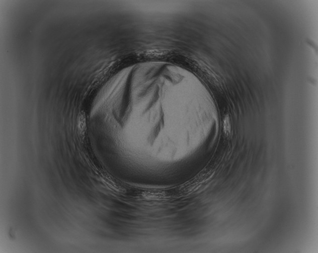 X0000091711299200709210934