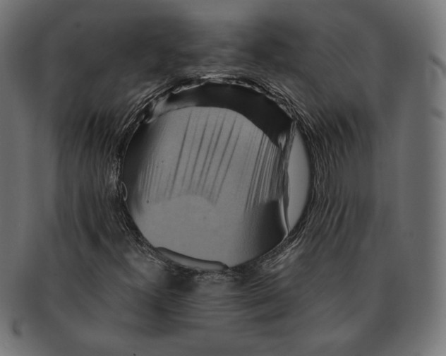 X0000091711300200709210934