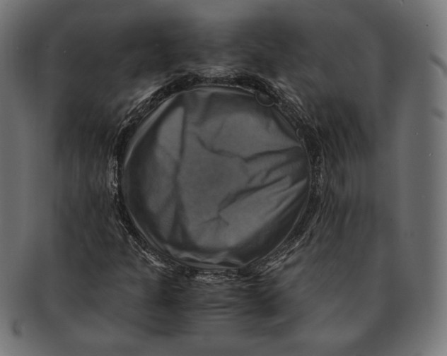 X0000091711301200709210934