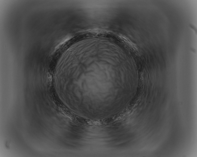 X0000091711302200709210934