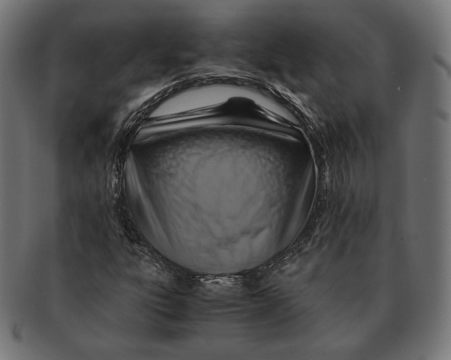 X0000091711303200709210934