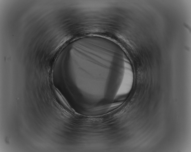 X0000091711305200709210934