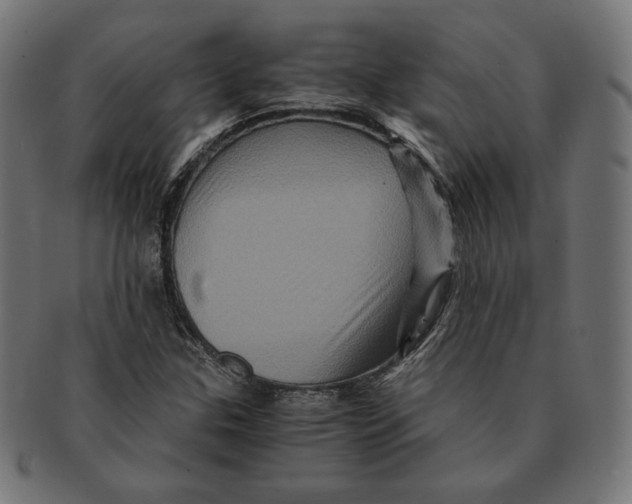 X0000091711307200709210934