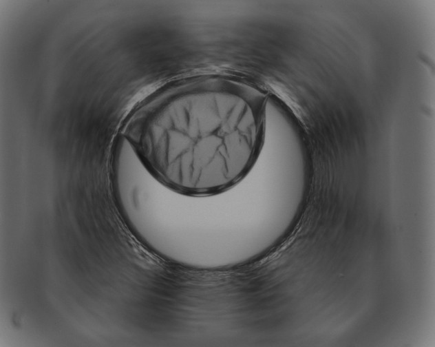 X0000091711308200709210934