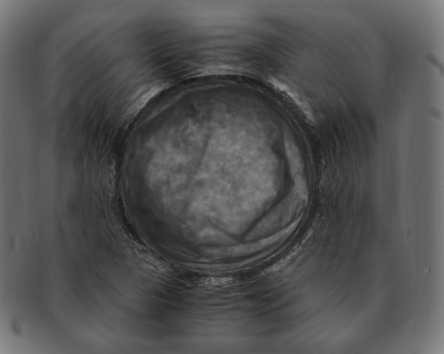 X0000091711313200709210934