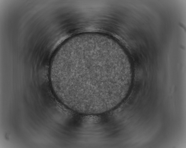 X0000091711314200709210934