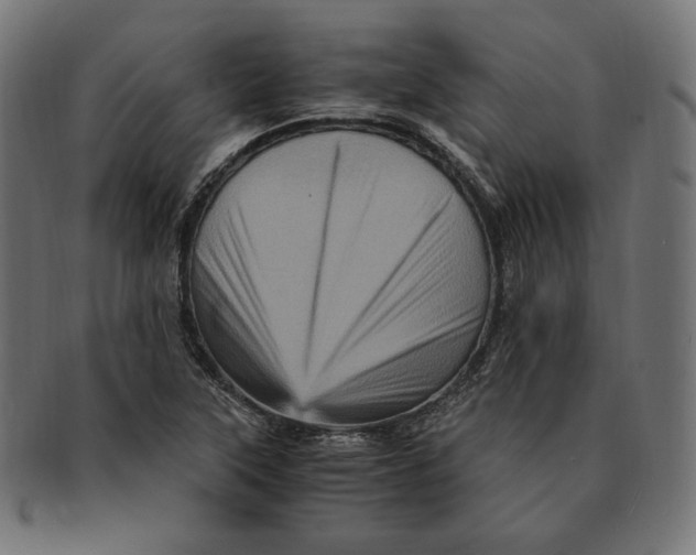 X0000091711315200709210934