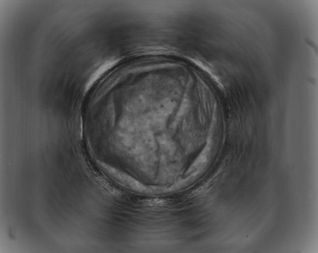 X0000091711317200709210934