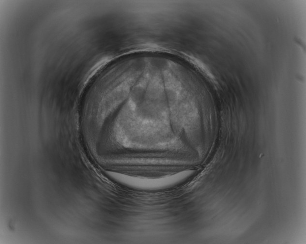 X0000091711318200709210934