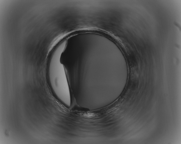 X0000091711319200709210934