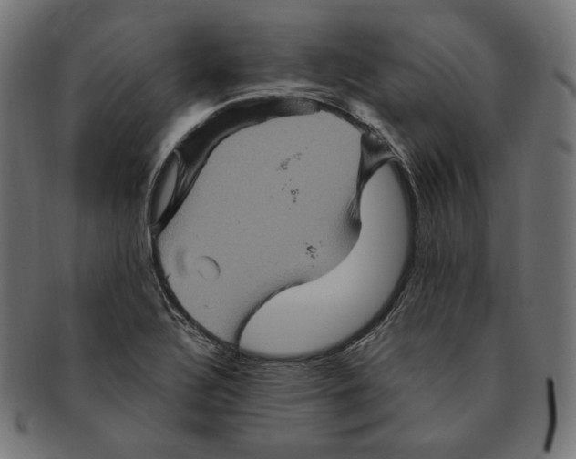 X0000091711320200709210934