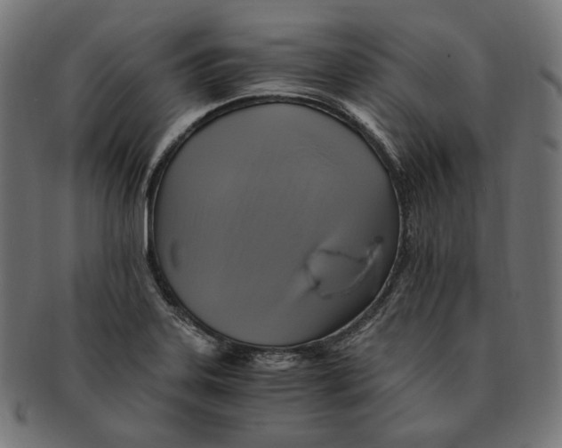 X0000091711323200709210934