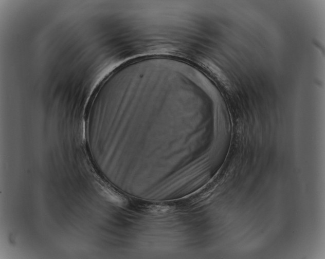 X0000091711324200709210934