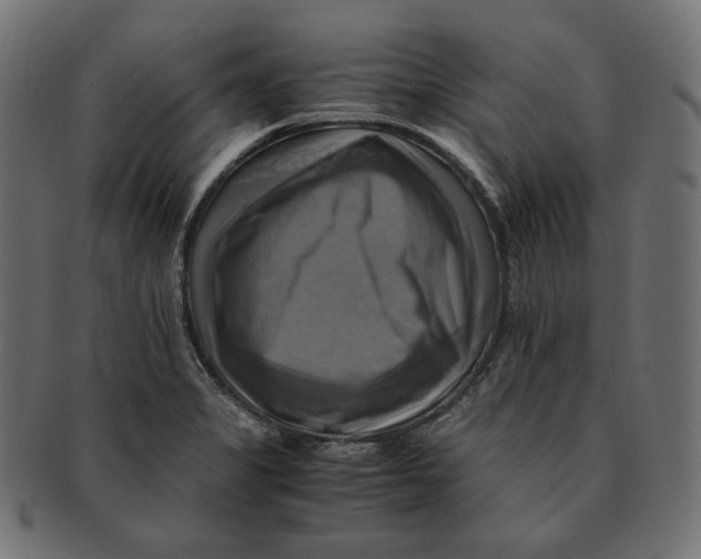 X0000091711325200709210934