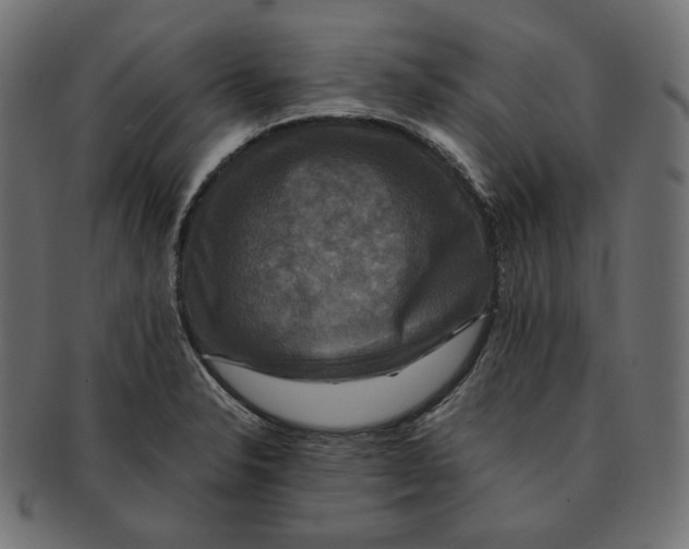 X0000091711326200709210934