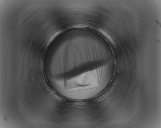 X0000091711329200709210934