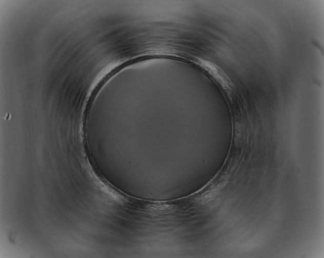 X0000091711331200709210934