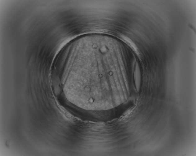 X0000091711332200709210934