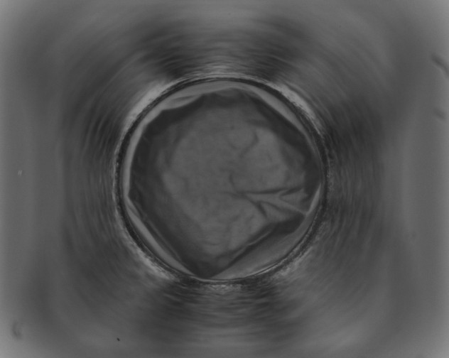 X0000091711333200709210934