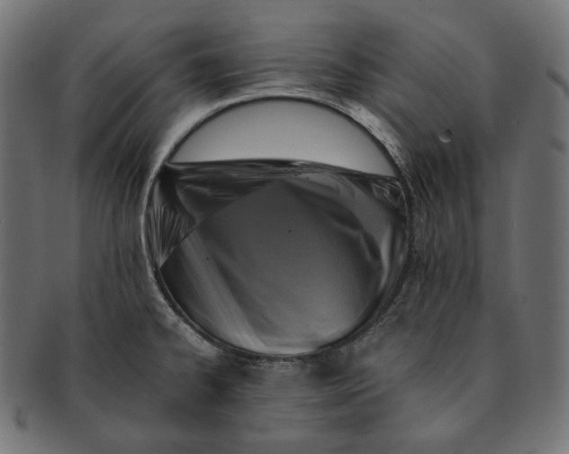 X0000091711334200709210934