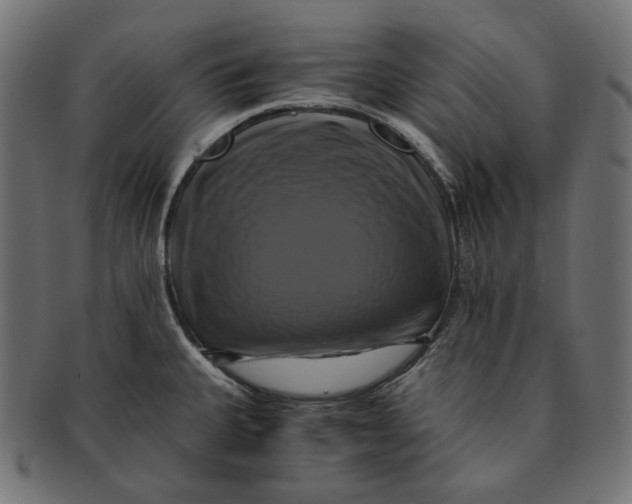 X0000091711335200709210934