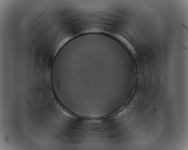 X0000091711337200709210934