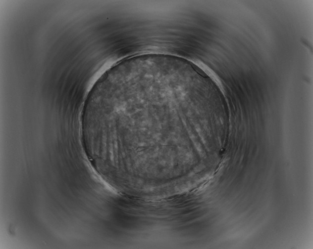 X0000091711341200709210934