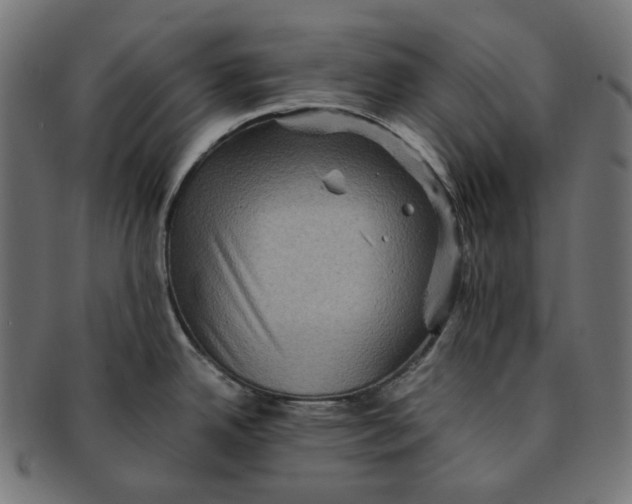 X0000091711342200709210934