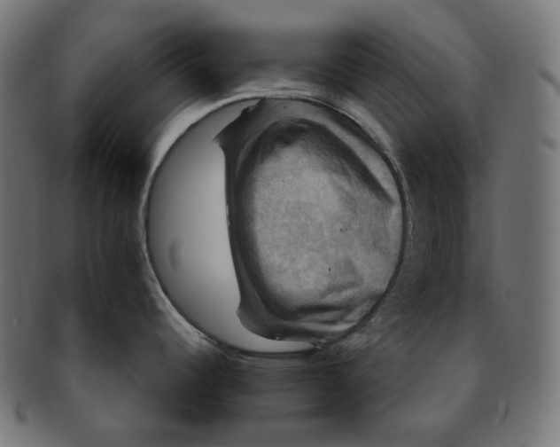 X0000091711344200709210934