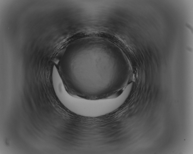 X0000091711348200709210934