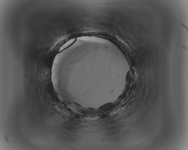 X0000091711351200709210934