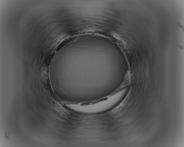 X0000091711353200709210934