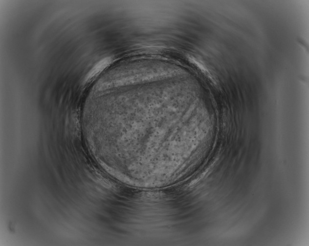 X0000091711354200709210934