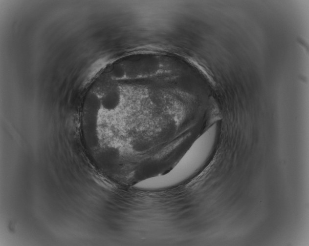 X0000091711355200709210934