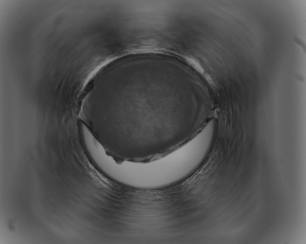 X0000091711356200709210934