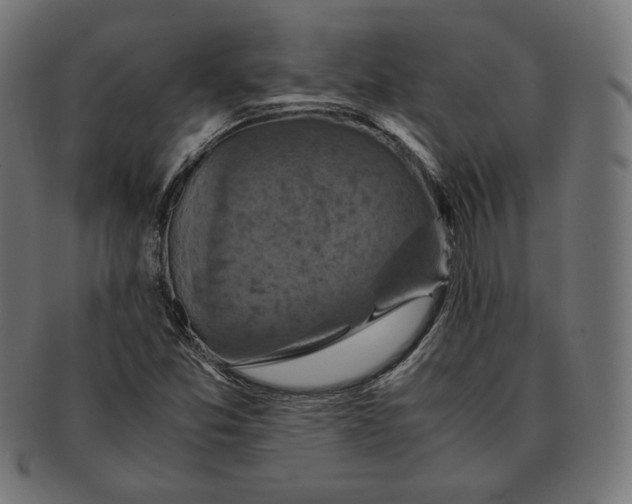 X0000091711357200709210934