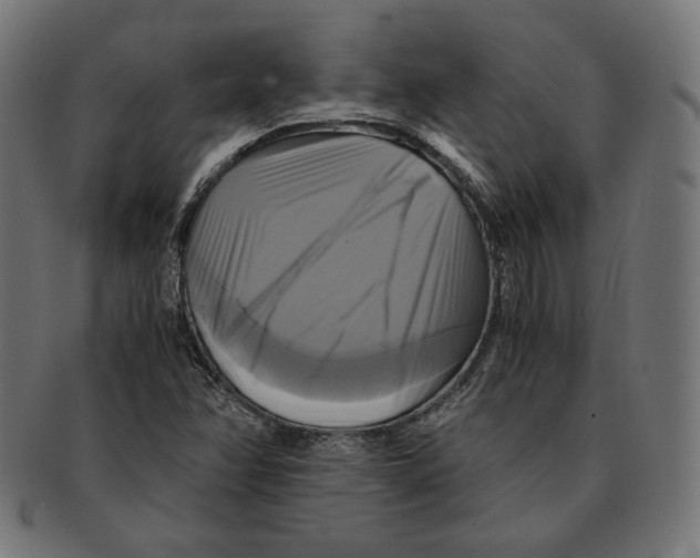 X0000091711358200709210934