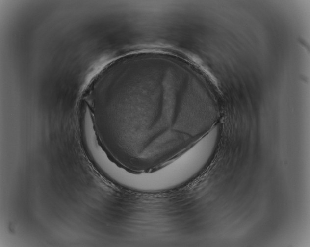 X0000091711360200709210934